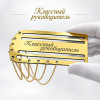 Золотой погон «Классный руководитель» с цепочкой